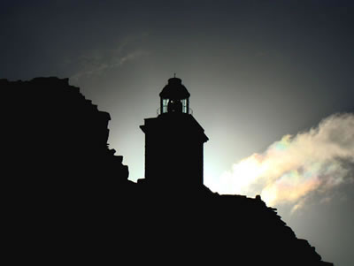 False Bay Tours False Bay Tours